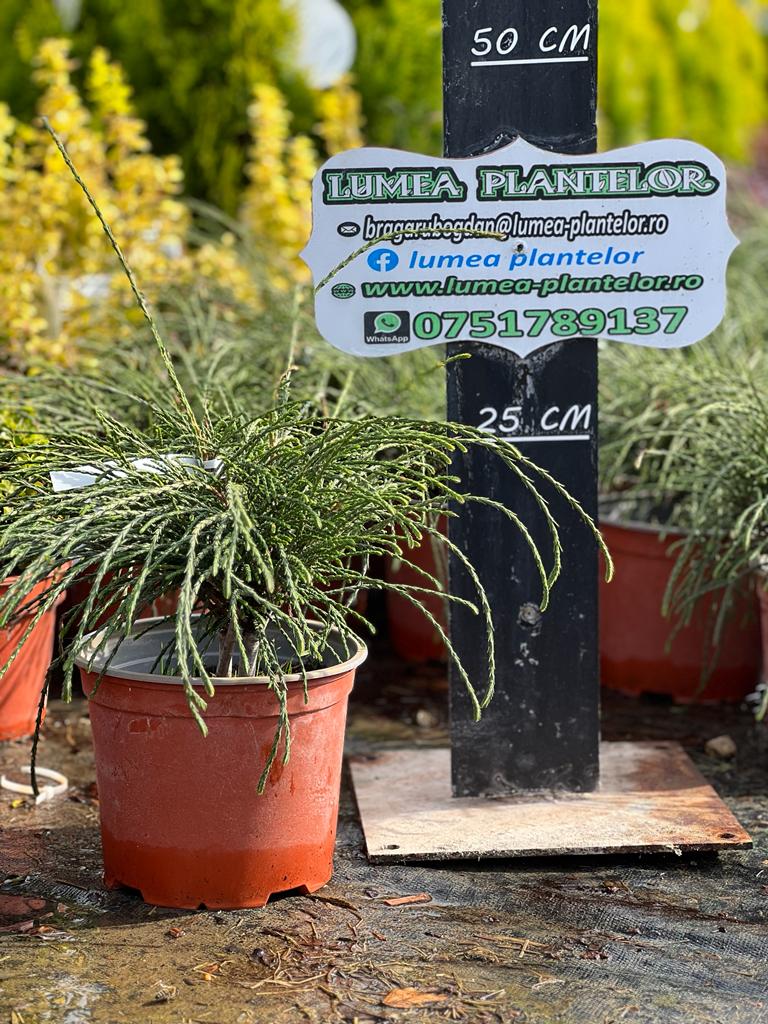 WhatsApp Image 2023-10-06 at 11.26.12_e6826578